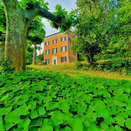Villa De Benedetti Sarzana Exterior foto