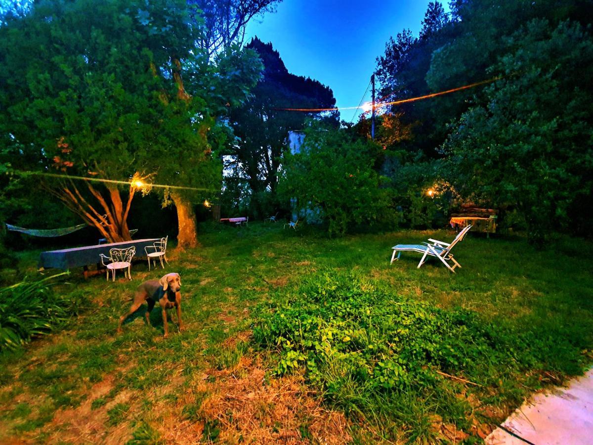 Villa De Benedetti Sarzana Exterior foto