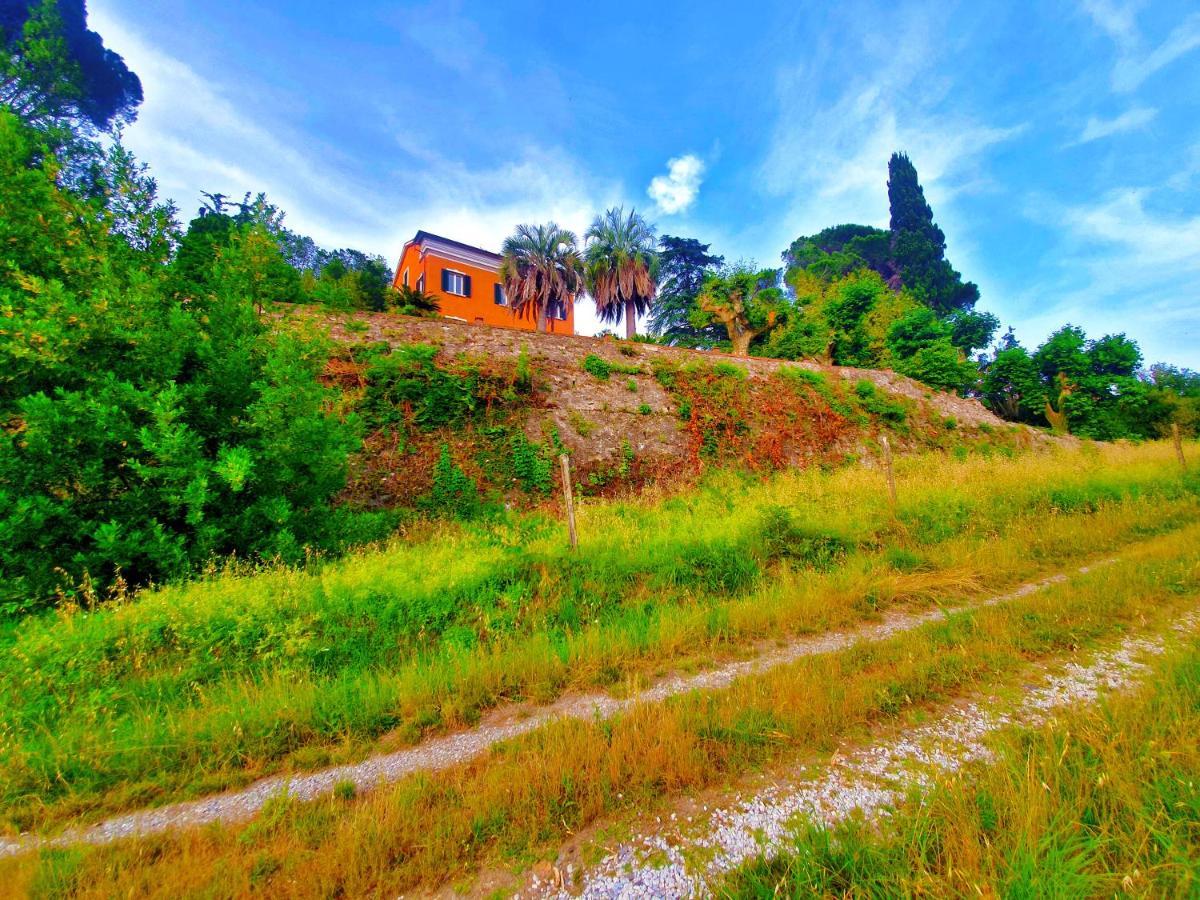 Villa De Benedetti Sarzana Exterior foto